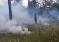 Waldbrand Lieberoser Heide; Foto: Blaulichtreport Lausitz