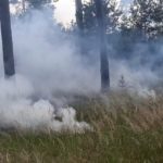 Waldbrand Lieberoser Heide; Foto: Blaulichtreport Lausitz