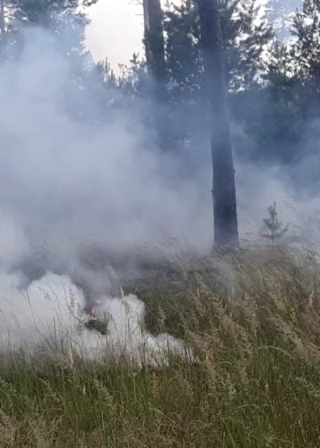 Waldbrand Lieberoser Heide; Foto: Blaulichtreport Lausitz