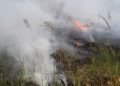 Waldbrand Lieberoser Heide; Foto: Blaulichtreport Lausitz