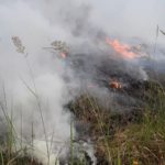 Waldbrand Lieberoser Heide; Foto: Blaulichtreport Lausitz