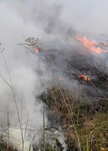 Waldbrand Lieberoser Heide; Foto: Blaulichtreport Lausitz