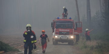 Blaulichtreport Lausitz