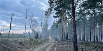Blaulichtreport Lausitz