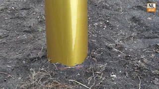 „23 Grad Stellare Plastik“: Neue Skulptur am Cottbuser Branitzer Park