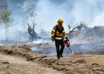 @fire im Einsatz beim Waldbrand bei Falkenberg/Elster; Foto: Pressestelle Kreisverwaltung/ Torsten Hoffgaard