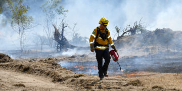 @fire im Einsatz beim Waldbrand bei Falkenberg/Elster; Foto: Pressestelle Kreisverwaltung/ Torsten Hoffgaard