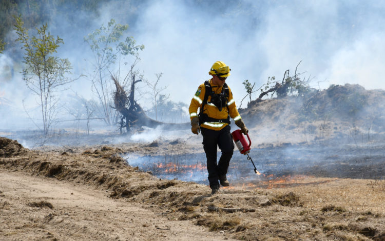 @fire im Einsatz beim Waldbrand bei Falkenberg/Elster; Foto: Pressestelle Kreisverwaltung/ Torsten Hoffgaard