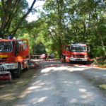 Waldbrand Lieberoser Heide; Foto: Blaulichtreport Lausitz