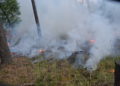 Waldbrand Lieberoser Heide; Foto: Blaulichtreport Lausitz