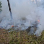 Waldbrand Lieberoser Heide; Foto: Blaulichtreport Lausitz