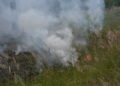 Waldbrand Lieberoser Heide; Foto: Blaulichtreport Lausitz