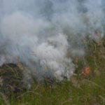 Waldbrand Lieberoser Heide; Foto: Blaulichtreport Lausitz