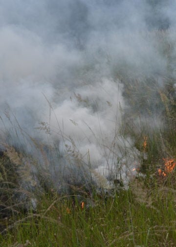 Waldbrand Lieberoser Heide; Foto: Blaulichtreport Lausitz