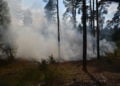 Waldbrand Lieberoser Heide; Foto: Blaulichtreport Lausitz