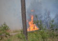 Waldbrand Lieberoser Heide; Foto: Blaulichtreport Lausitz