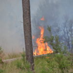 Waldbrand Lieberoser Heide; Foto: Blaulichtreport Lausitz