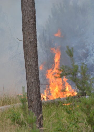 Waldbrand Lieberoser Heide; Foto: Blaulichtreport Lausitz