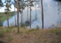 Waldbrand Lieberoser Heide; Foto: Blaulichtreport Lausitz