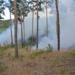 Waldbrand Lieberoser Heide; Foto: Blaulichtreport Lausitz