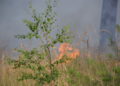 Waldbrand Lieberoser Heide; Foto: Blaulichtreport Lausitz