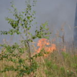 Waldbrand Lieberoser Heide; Foto: Blaulichtreport Lausitz