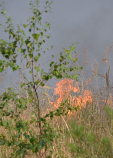 Waldbrand Lieberoser Heide; Foto: Blaulichtreport Lausitz