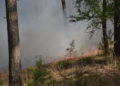 Waldbrand Lieberoser Heide; Foto: Blaulichtreport Lausitz