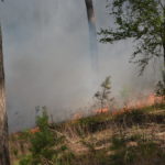 Waldbrand Lieberoser Heide; Foto: Blaulichtreport Lausitz