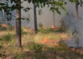 Waldbrand Lieberoser Heide; Foto: Blaulichtreport Lausitz