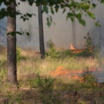 Waldbrand Lieberoser Heide; Foto: Blaulichtreport Lausitz