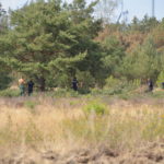 Waldbrand bei Falkenberg/Elster: Foto: Blaulichtreport Lausitz