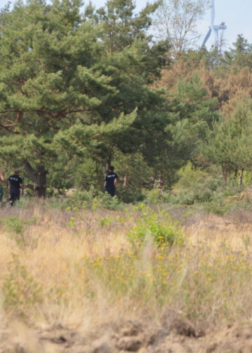 Waldbrand bei Falkenberg/Elster: Foto: Blaulichtreport Lausitz
