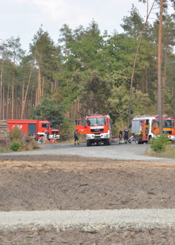 Waldbrand bei Falkenberg/Elster: Foto: Blaulichtreport Lausitz
