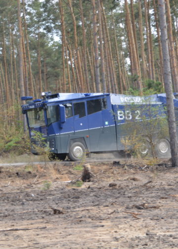 Waldbrand bei Falkenberg/Elster: Foto: Blaulichtreport Lausitz