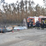 Waldbrand bei Falkenberg/Elster: Foto: Blaulichtreport Lausitz