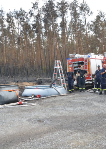 Waldbrand bei Falkenberg/Elster: Foto: Blaulichtreport Lausitz