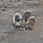 Waldbrand bei Falkenberg/Elster: Foto: Blaulichtreport Lausitz