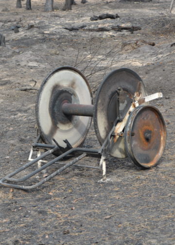 Waldbrand bei Falkenberg/Elster: Foto: Blaulichtreport Lausitz
