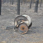 Waldbrand bei Falkenberg/Elster: Foto: Blaulichtreport Lausitz