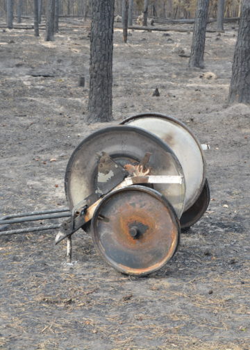 Waldbrand bei Falkenberg/Elster: Foto: Blaulichtreport Lausitz