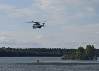 Waldbrand Falkenberg: 250 Kräfte und weiterer Panzer im Einsatz