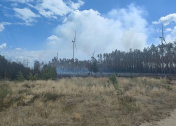 Waldbrand Falkenberg unter Kontrolle. Bundeswehrhubschrauber ziehen ab