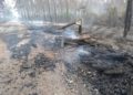 Blaulichtreport Lausitz