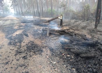 Blaulichtreport Lausitz