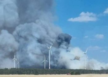 Waldbrand bei Falkenberg/Elster ausgebrochen