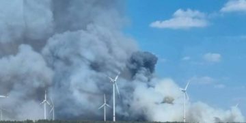 Waldbrand bei Falkenberg/Elster ausgebrochen