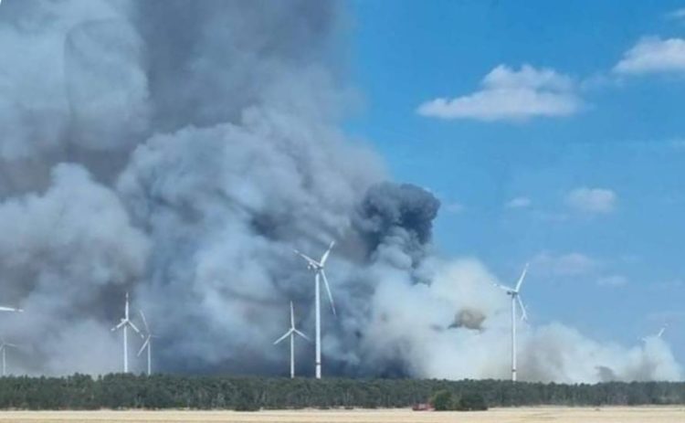 Waldbrand bei Falkenberg/Elster ausgebrochen