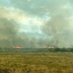 Waldbrand in Elbe-Elster bei Kölsa-Rehfeld