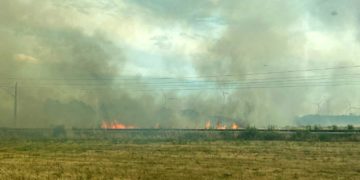 Waldbrand in Elbe-Elster bei Kölsa-Rehfeld